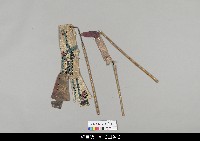 藏品(中國湖北皮影戲偶身)的圖片
